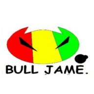 bull_jame