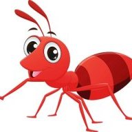 redant