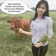 Bundara