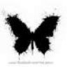 BlackButterfly